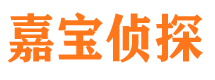 和布克赛尔侦探调查公司